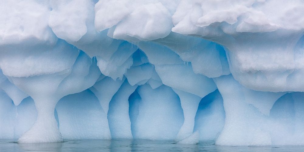 Marine Life Discovered In Antarctic River Marine Life Discovered In Antarctic River