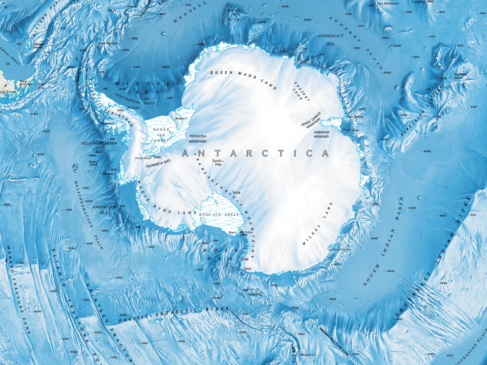 Antarctica Antarctica