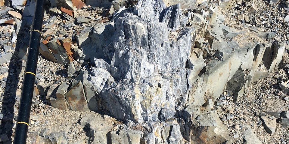 Antarctic Fossil Forests Antarctic Fossil Forests