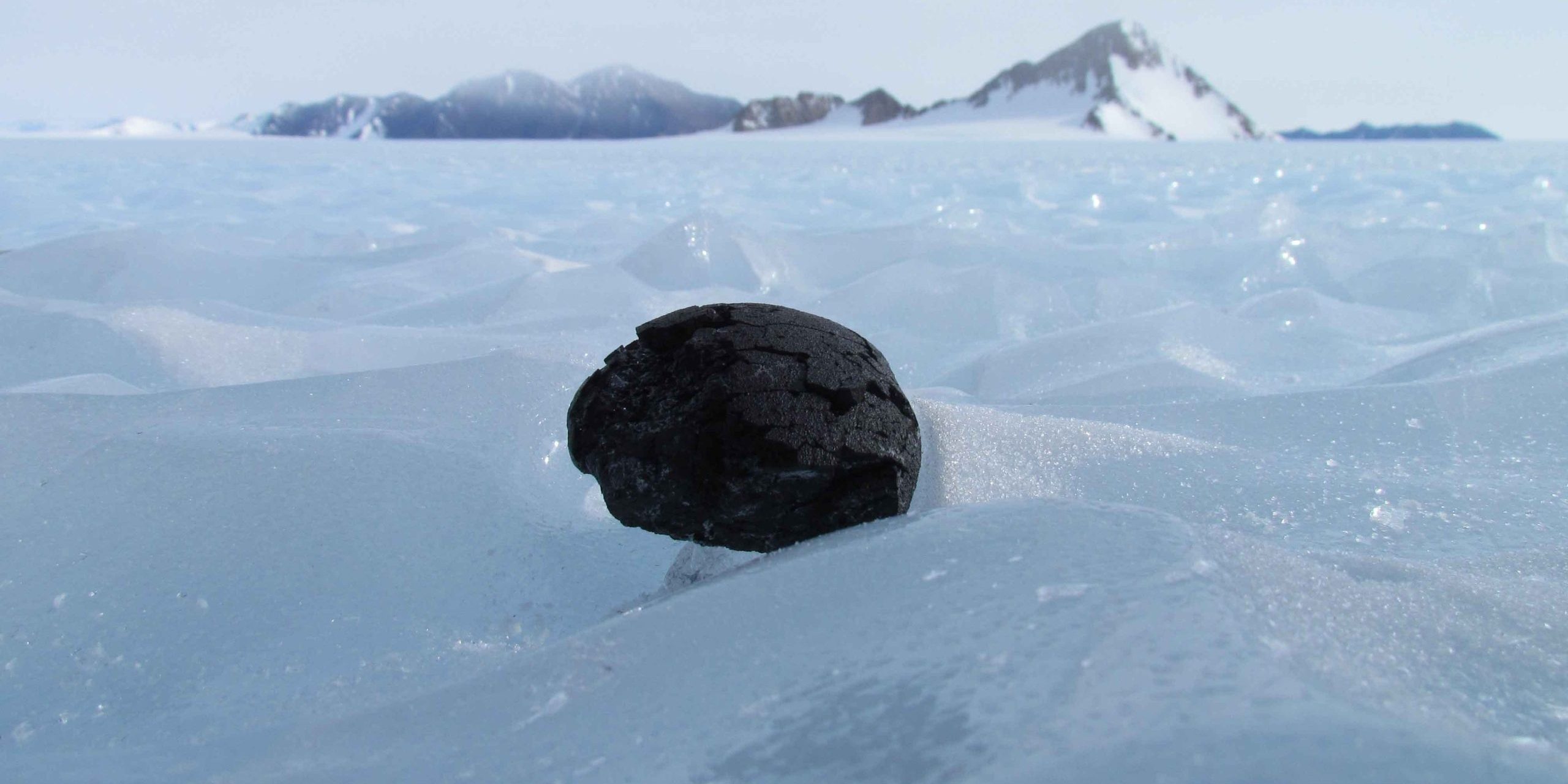 Antarctic Meteorites Antarctic Meteorites