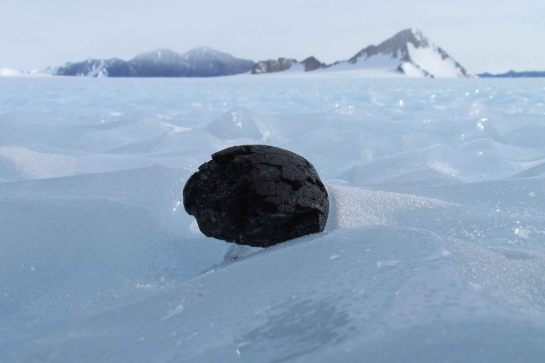 Antarctic Meteorites Antarctic Meteorites