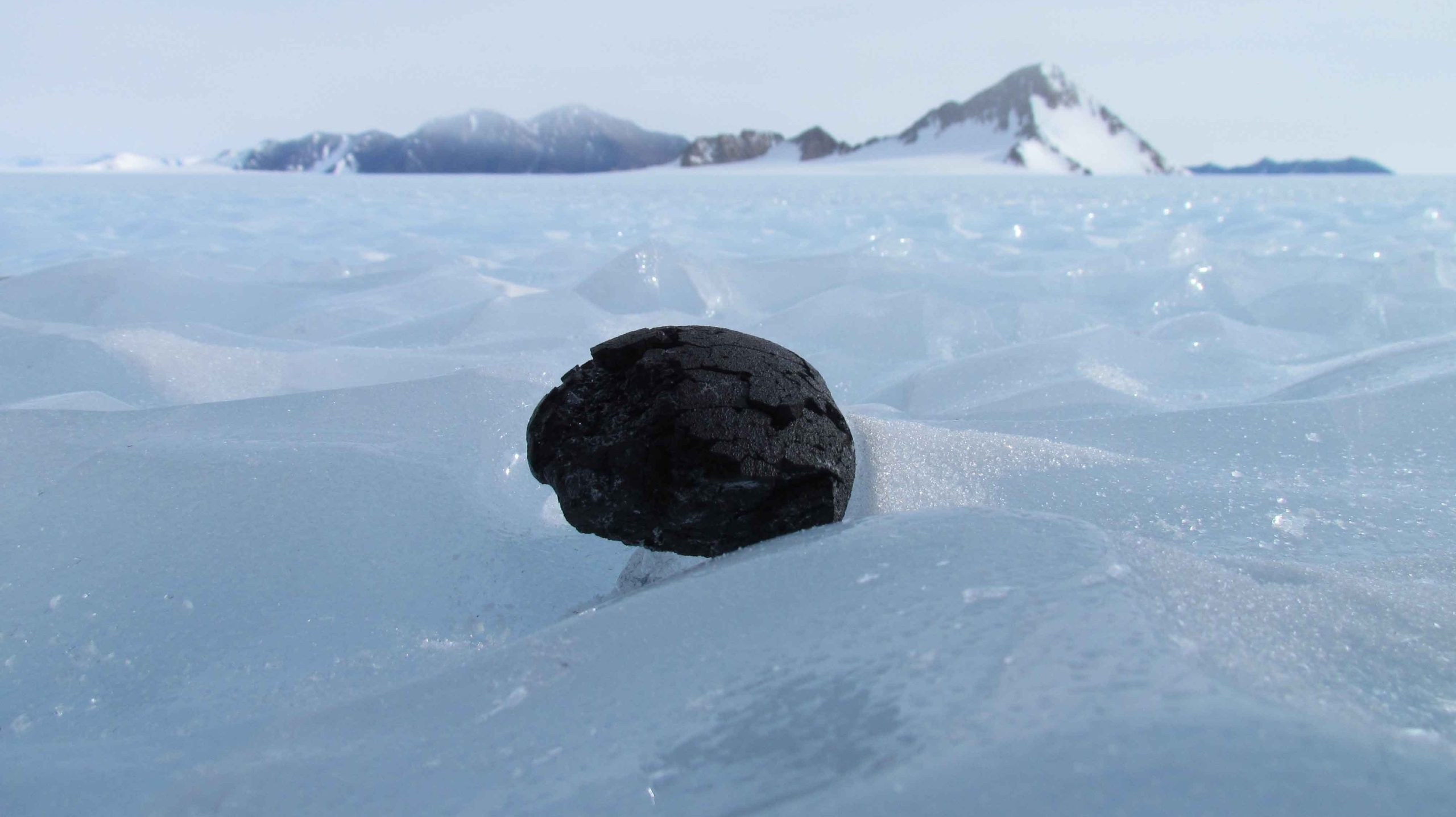 Antarctic Meteorites Antarctic Meteorites