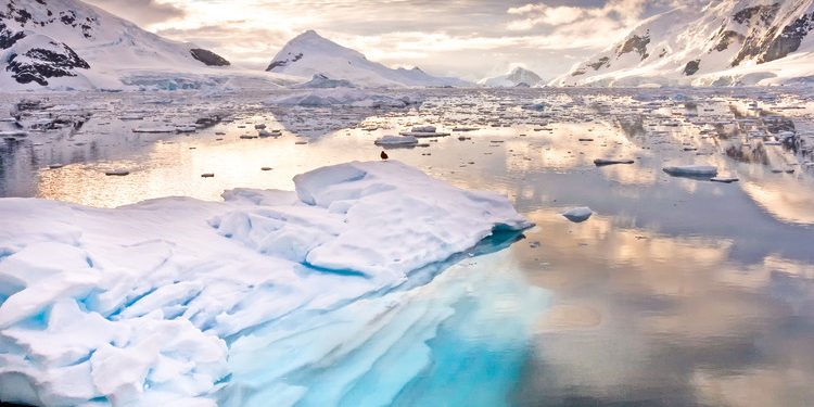 Antarctica- Exploring the Vastness and Mysteries Antarctica: Exploring the Vastness and Mysteries