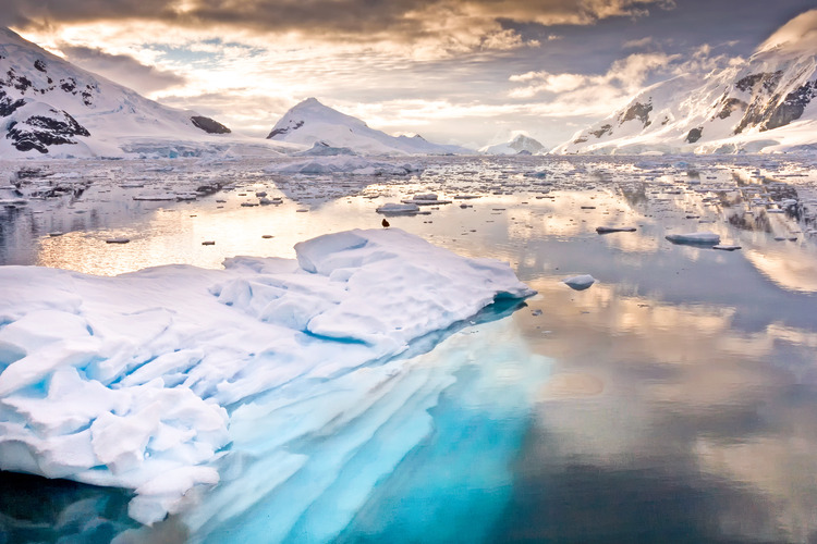 Antarctica- Exploring the Vastness and Mysteries Antarctica: Exploring the Vastness and Mysteries