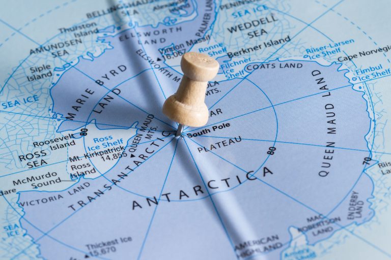 Treasures of Antarctica Unearthed Treasures of Antarctica Unearthed
